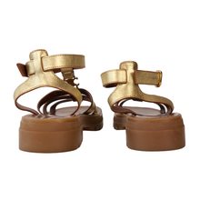 Cargar imagen en el visor de la galería, CLEA
