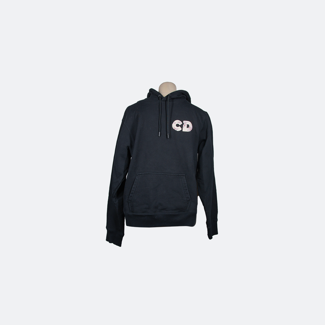 Dior x daniel arsham hoodie hotsell